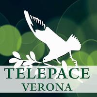 Telepace Verona Affiche