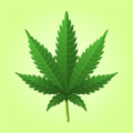 Cannabis Clubs Barcelona