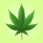 Cannabis Clubs Barcelona ikon