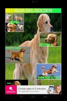 GOLDEN RETRIEVER poster