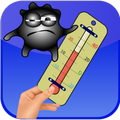 Temperatura Termometro Broma