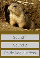 Prairie Dog Sounds capture d'écran 1