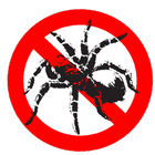 Pitido Anti Arañas Broma icon