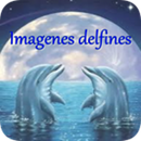 Delfines Imagenes APK