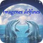 Delfines icon