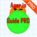 Skins Agar.io Pro APK