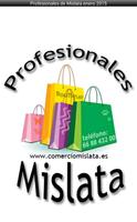 Profesionales de Mislata پوسٹر