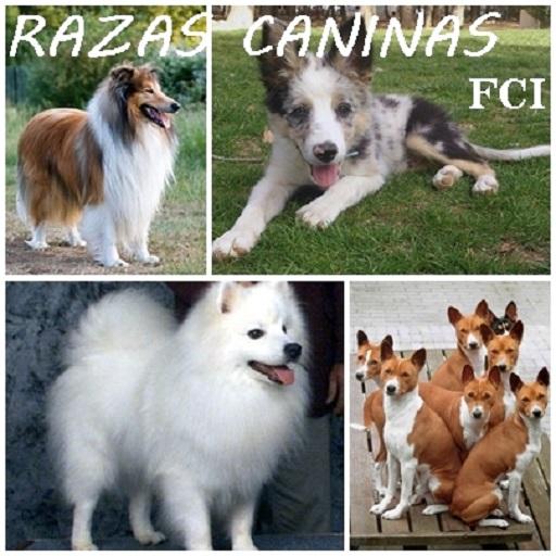 PERROS-RAZA free