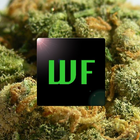 Weed Facts иконка