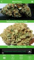 Weed Facts скриншот 3