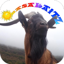lacteos BASAKAITZ esnekiak APK