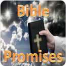 Promesses Bibliques APK