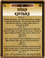 The Catholic Bible in Spanish poster