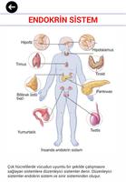 Biyoloji | 11.SINIF imagem de tela 3