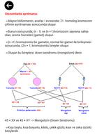 Biyoloji | 10.SINIF 截图 2