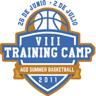 AGD Summer Basketball-icoon