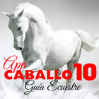 Caballo10 أيقونة