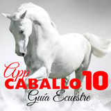 Caballo10 icône