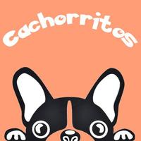 Cachorros Puzzles Niños Gratis Poster