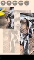 Cachorros Puzzles Niños Gratis captura de pantalla 2