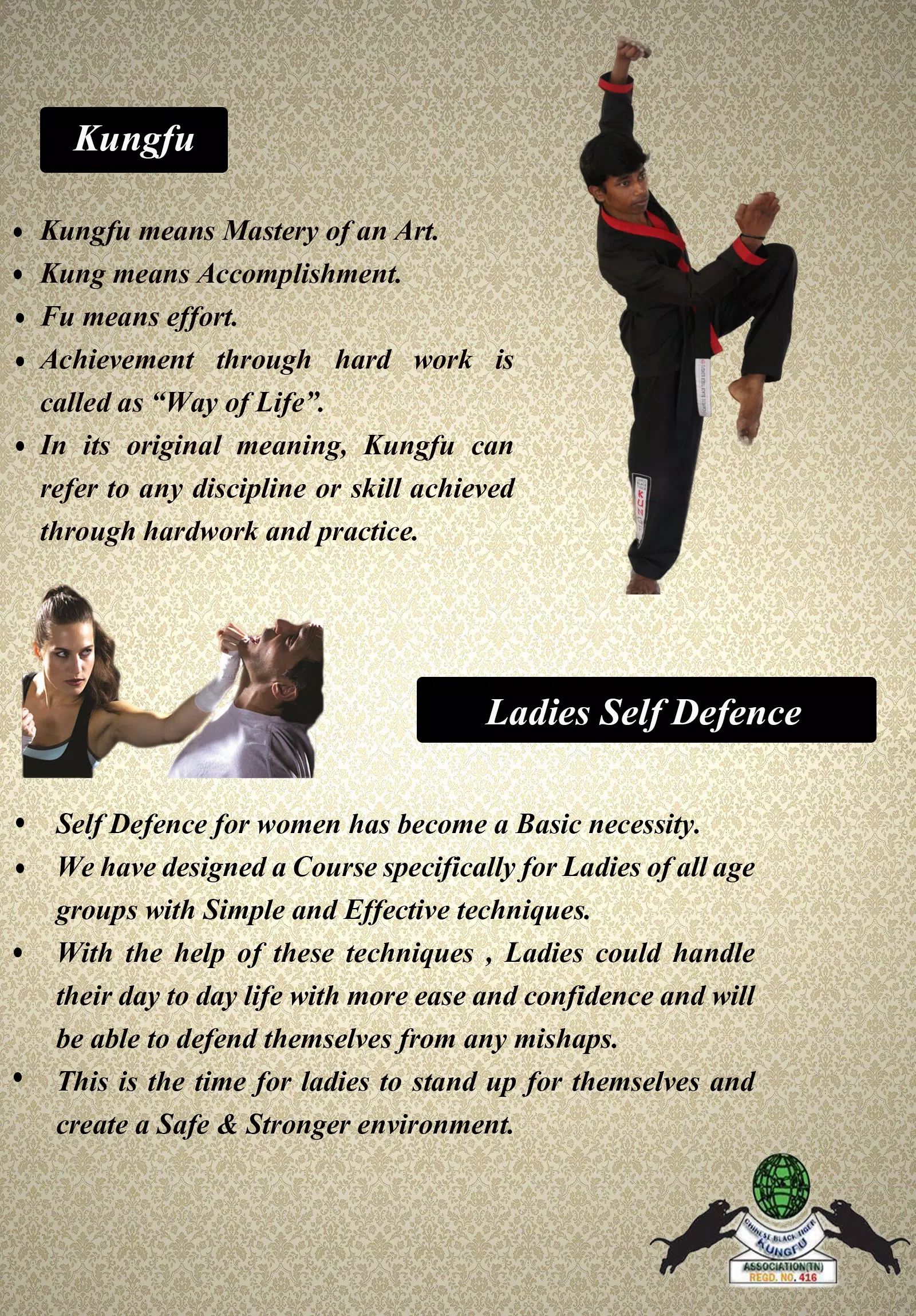 Black Tiger Kung Fu