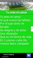 Canticos Betis Balompie screenshot 1