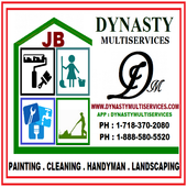 DYNASTY MULTISERVICES আইকন