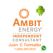 Ambit Energy Consulting