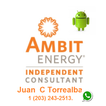 Ambit Energy Consultor