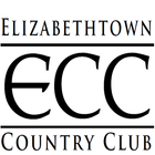 ECC Connect icône