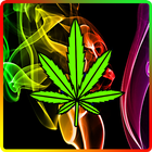 Weed & Marijuana HD icon