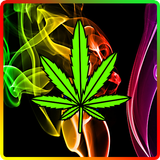 Weed & Marijuana HD icône