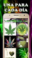 Weed & Marijuana HD capture d'écran 3