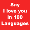 I Love You in 100 Languages