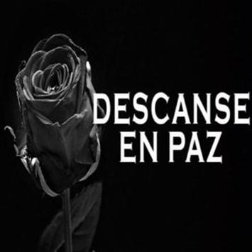 Frases Imagenes Luto Dolor Tristes Lazos Gratis For Android Apk
