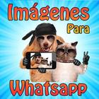 Imágenes para whatsapp иконка