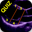 AHA 17 SEGMENT INTERACTIVE HEA