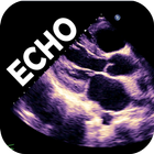 LEARN THE FULL TTE ECHO ULTRASOUND PROTOCOL icône