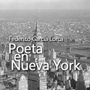 POETA EN NUEVA YORK - FG LORCA APK