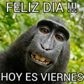 Memes Graciosos Compartir