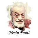 Necip Fazıl Kısakürek Sözleri-APK