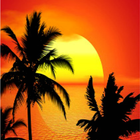 INFO PLAYAS COSTA RICA আইকন