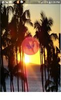 INFO PLAYAS COSTA RICA পোস্টার