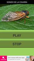 Sound of the cicada. Affiche