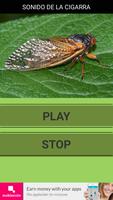 Sound of the cicada. Plakat