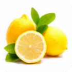 Precio Limones-icoon