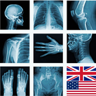 Radiological Projections icon