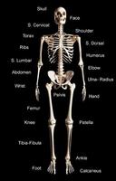 Radiological Projections poster