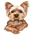 Razas de perro - Veterinarios APK