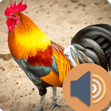 ”Sound Animals for Kids for Fun